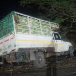 बेडमा पेट्रोल पंप के सामने पिकअप का टायर फटा, सड़क किनारे उतरी गाड़ी — बड़ा हादसा टला